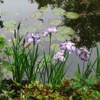 Vernon & Giverny, France